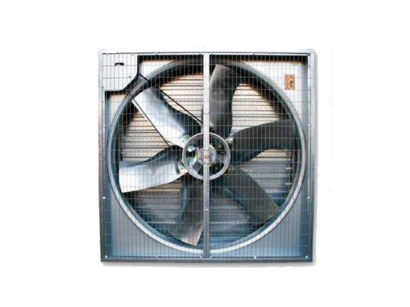 KUTU TAVUKÇU FAN